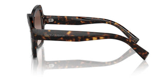 Dolce & Gabbana Dg 4463 Women Havana Butterfly Sunglasses