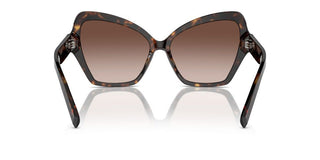 Dolce & Gabbana DG 4463 women Havana Butterfly Sunglasses