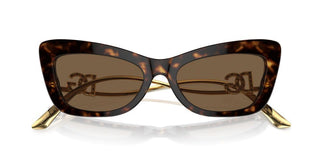 Dolce & Gabbana Dg 4467b Women Havana Cat Eye Sunglasses
