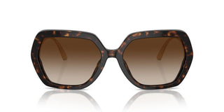 Dolce & Gabbana Dg 4468b Women Havana Oversize Sunglasses