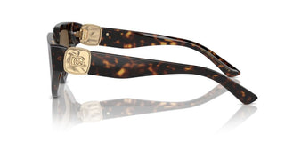 Dolce & Gabbana Dg 4469 Women Havana Butterfly Sunglasses