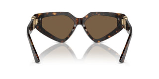 Dolce & Gabbana Dg 4469 Women Havana Butterfly Sunglasses