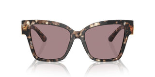 Dolce & Gabbana Dg 4470 Women Havana Butterfly Sunglasses
