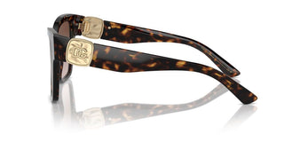 Dolce & Gabbana DG 4470 women Havana Butterfly Sunglasses