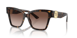 Dolce & Gabbana Dg 4470 Women Havana Butterfly Sunglasses