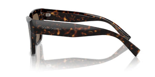 Dolce & Gabbana Dg 4471 Women Havana Butterfly Sunglasses