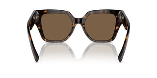 Dolce & Gabbana Dg 4471 Women Havana Butterfly Sunglasses
