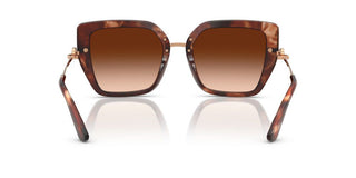 Dolce & Gabbana Dg 4474 Women Havana Butterfly Sunglasses