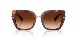 Dolce & Gabbana Dg 4474 Women Havana Butterfly Sunglasses