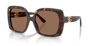 Dolce & Gabbana DG 4475 women Havana Oversize Sunglasses