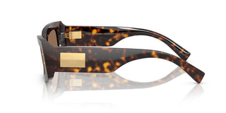 Dolce & Gabbana Dg 4479 Women Havana Rectangle Sunglasses