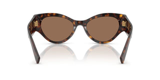 Dolce & Gabbana Dg 4480 Women Havana Cat Eye Sunglasses