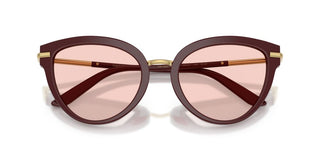 Dolce & Gabbana Dg 4492 Women Red Butterfly Sunglasses