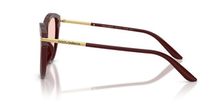 Dolce & Gabbana Dg 4492 Women Red Butterfly Sunglasses