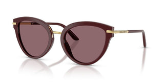 Dolce & Gabbana Dg 4492 Women Red Butterfly Sunglasses