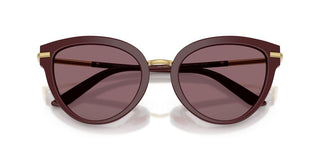 Dolce & Gabbana Dg 4492 Women Red Butterfly Sunglasses