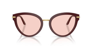 Dolce & Gabbana Dg 4492 Women Red Butterfly Sunglasses