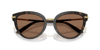 Dolce & Gabbana Dg 4492 Women Havana Butterfly Sunglasses