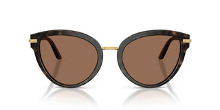 Dolce & Gabbana Dg 4492 Women Havana Butterfly Sunglasses