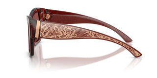 Dolce & Gabbana Dg 4493 Women Red Butterfly Sunglasses