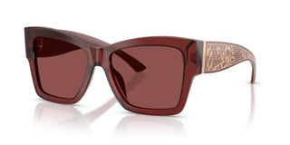 Dolce & Gabbana DG 4493 women Red Butterfly Sunglasses