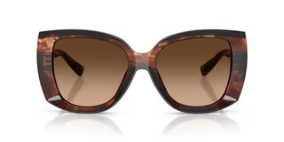 Dolce & Gabbana DG 4495 women Havana Butterfly Sunglasses