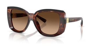 Dolce & Gabbana DG 4495 women Havana Butterfly Sunglasses