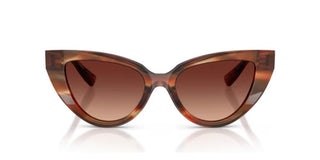 Dolce & Gabbana Dg 4497 Women Havana Cat Eye Sunglasses