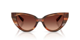 Dolce & Gabbana Dg 4497 Women Havana Cat Eye Sunglasses