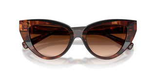 Dolce & Gabbana Dg 4497 Women Havana Cat Eye Sunglasses