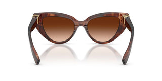 Dolce & Gabbana Dg 4497 Women Havana Cat Eye Sunglasses