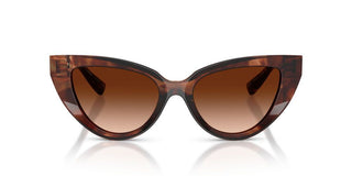 Dolce & Gabbana Dg 4497 Women Havana Cat Eye Sunglasses