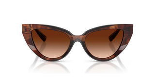 Dolce & Gabbana Dg 4497 Women Havana Cat Eye Sunglasses