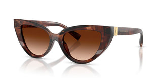 Dolce & Gabbana Dg 4497 Women Havana Cat Eye Sunglasses
