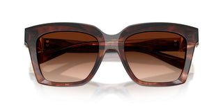 Dolce & Gabbana Dg 4498 Women Havana Butterfly Sunglasses