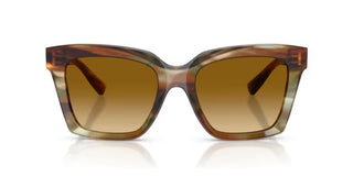 Dolce & Gabbana DG 4498 women Havana Butterfly Sunglasses
