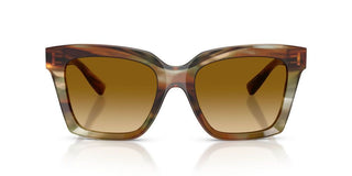 Dolce & Gabbana Dg 4498 Women Havana Butterfly Sunglasses