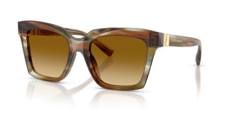 Dolce & Gabbana DG 4498 women Havana Butterfly Sunglasses