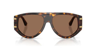 Dolce & Gabbana DG 4499 women Havana Pilot Sunglasses