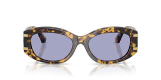 Dolce & Gabbana DG 4502 women Havana Oval Sunglasses