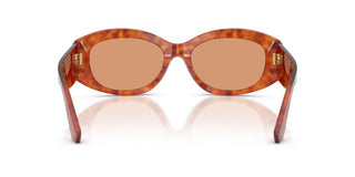 Dolce & Gabbana Dg 4502 Women Havana Oval Sunglasses
