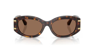 Dolce & Gabbana DG 4502 women Havana Oval Sunglasses