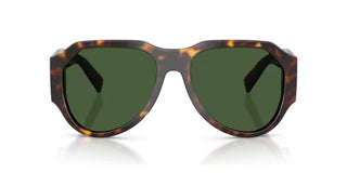 Dolce & Gabbana DG 4504 men Havana Pilot Sunglasses