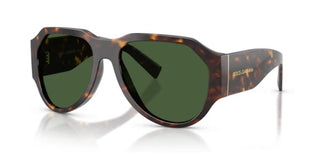 Dolce & Gabbana DG 4504 men Havana Pilot Sunglasses