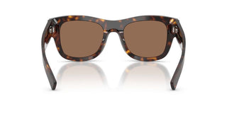 Dolce & Gabbana Dg 4509 Men Havana Squared Sunglasses