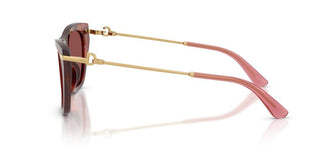 Dolce & Gabbana DG 4511 women Havana Cat Eye Sunglasses