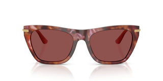 Dolce & Gabbana DG 4511 women Havana Cat Eye Sunglasses