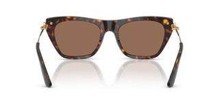 Dolce & Gabbana DG 4511 women Havana Cat Eye Sunglasses