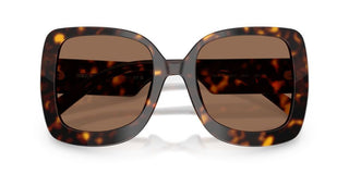 Dolce & Gabbana DG 4513 women Havana Butterfly Sunglasses