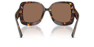 Dolce & Gabbana DG 4513 women Havana Butterfly Sunglasses